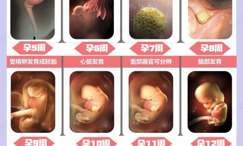 怀孕期间喝维生素c没影响吧-孕妇喝唯太维生素网- 孕妇喝维他命水的好处知识,分享孕妇吃维生素的副作用